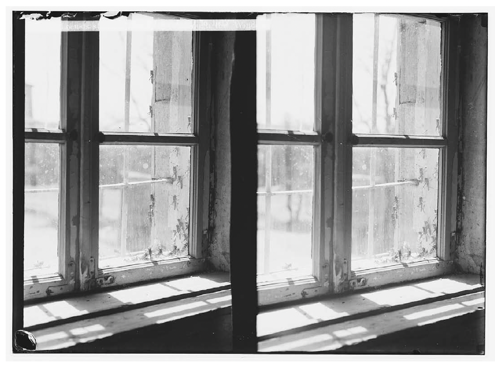 Image for The Sounds of Locusts